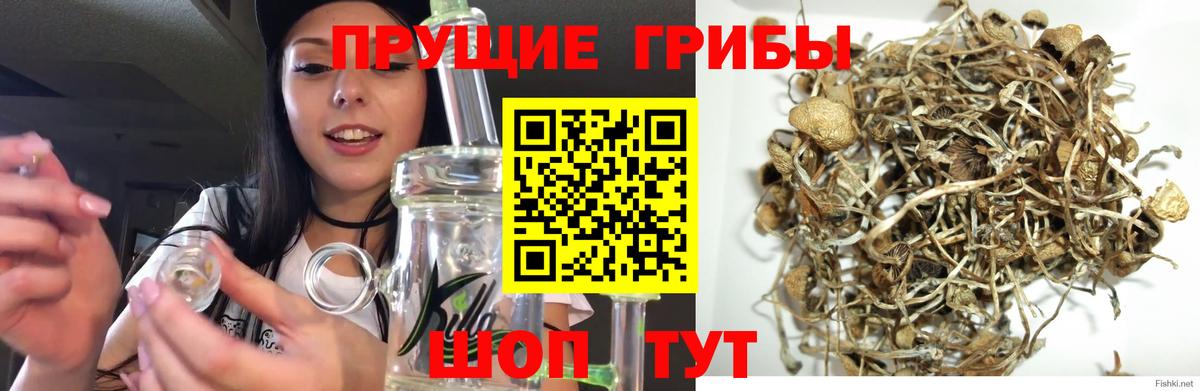 Галлюциногенные грибы мухоморы  Вход с VPN  где продают наркотики  Кубинка 
